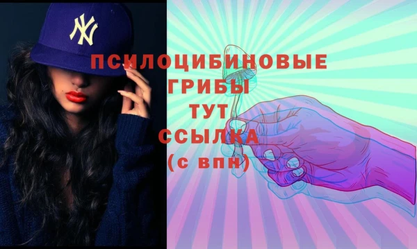 jwh Абаза